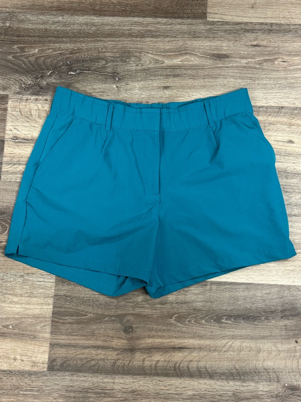 Nike Dri Fit Blue Shorts Women’s XL